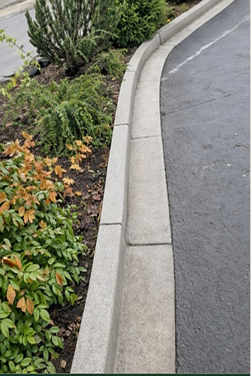 Project 2 before pressure washing